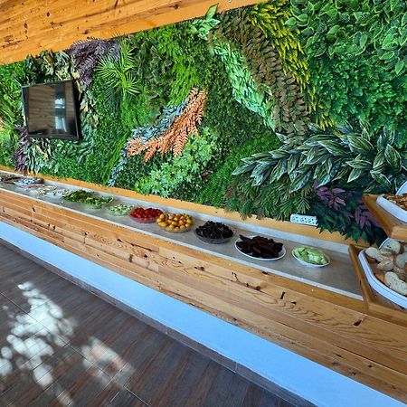 Amsterdam Boutique Hotel Κεμέρ Εξωτερικό φωτογραφία