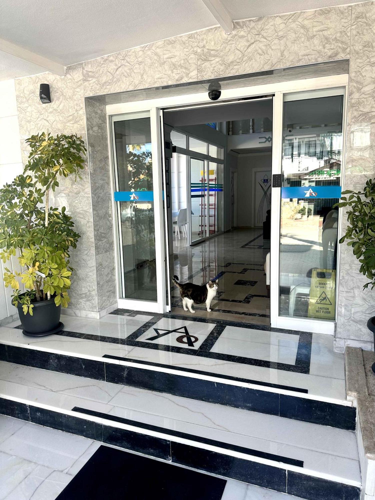 Amsterdam Boutique Hotel Κεμέρ Εξωτερικό φωτογραφία